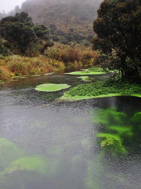 Free Landscape Water photo and picture