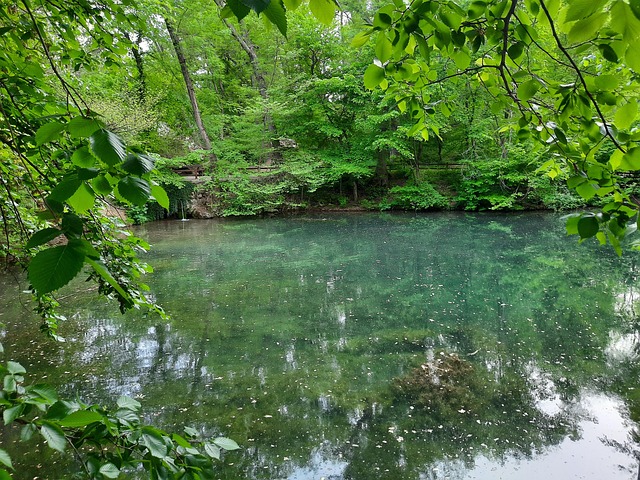 Free Pond Water photo and picture