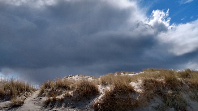 Free Ameland Hollum photo and picture