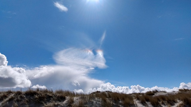 Free Skies Sea photo and picture