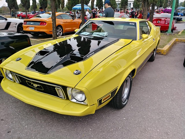 Free Mustang Yellow photo and picture