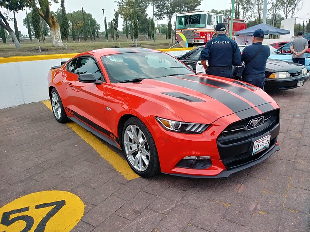 Free Mustang Network photo and picture