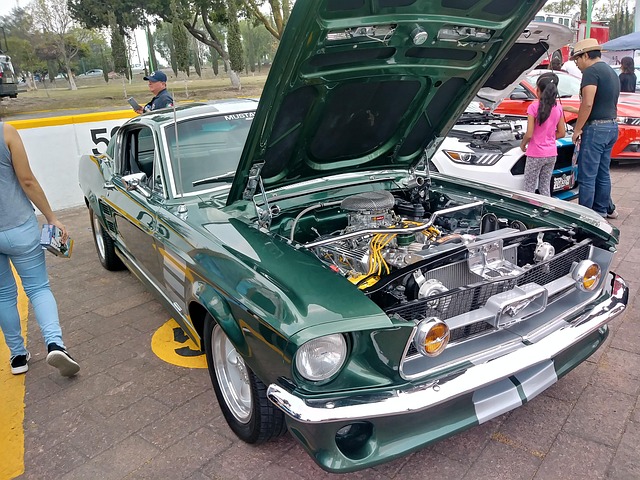 Free Mustang Green photo and picture