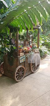 Free Seoul Botanic Park illustration and picture