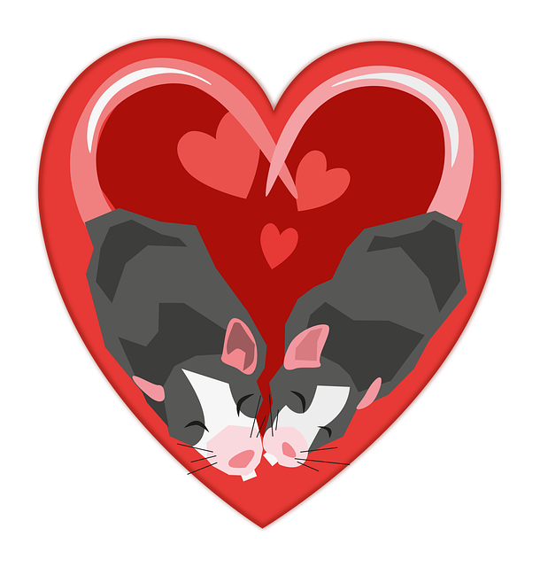 Free Love 14 February vector and picture