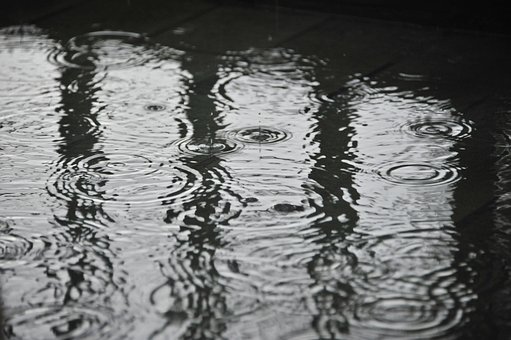 Free Rain Puddle photo and picture
