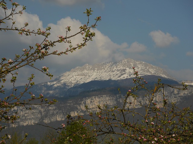 Free Chartreuse Mountain photo and picture