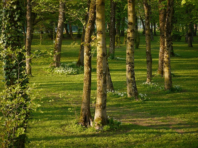 Free Moirans Parc photo and picture