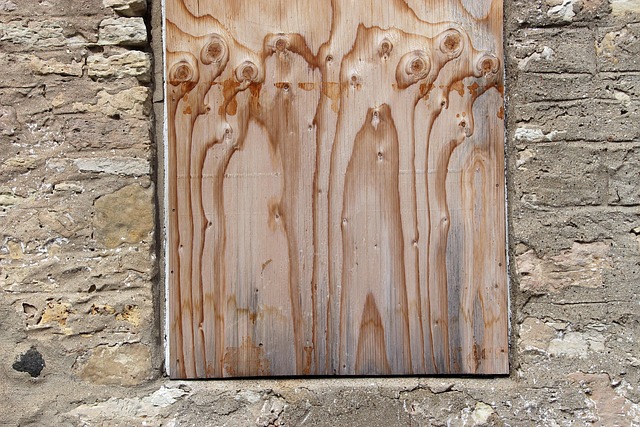 Free Wooden Board Texture photo and picture