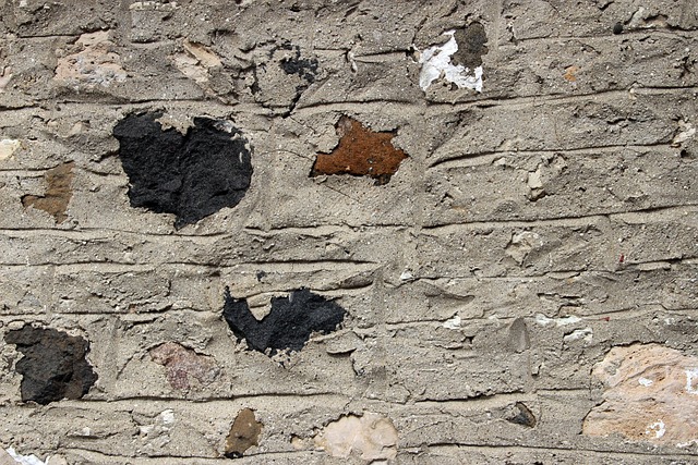 Free Texture Concrete Wall photo and picture