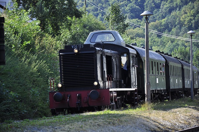 Free Museum Railway Train photo and picture