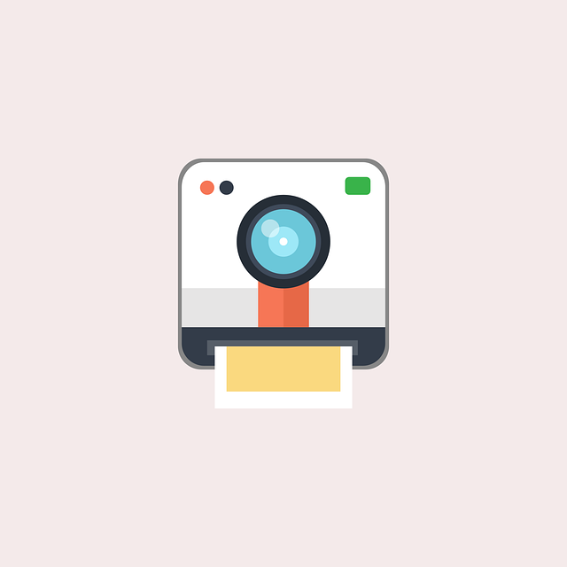 Free camera polaroid photography vector
