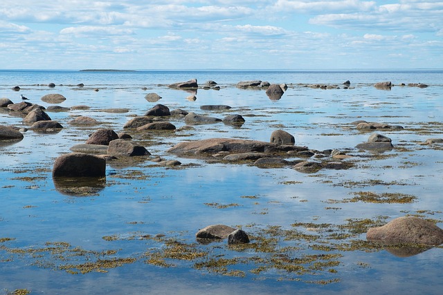 Felsen, Meer, Ebbe, Ufer, Küste, Strand