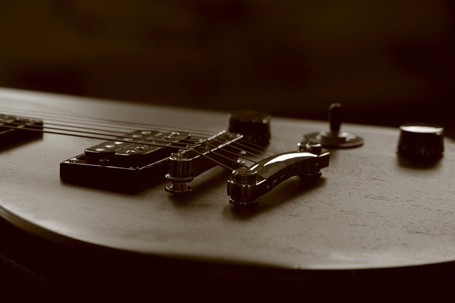 Free Pickups Guitar photo and picture