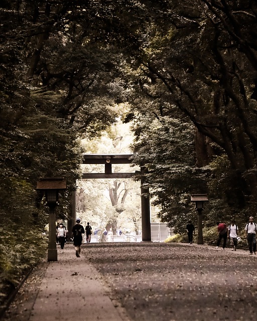 Free Nature Tokyo photo and picture