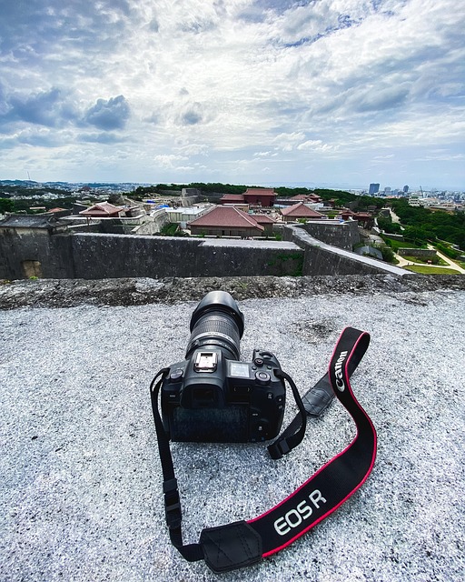 Free Camera Japan photo and picture