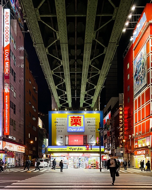 Free Tokyo Japan photo and picture