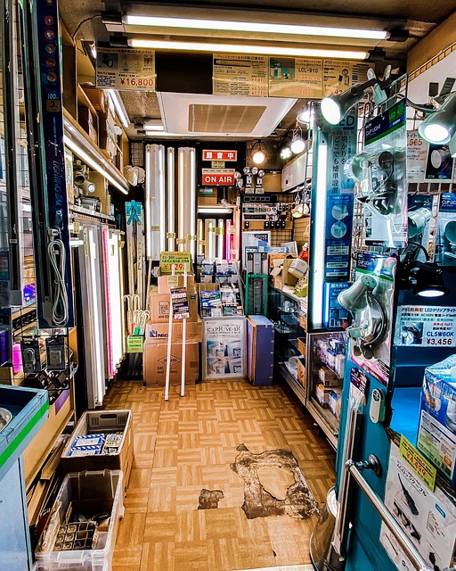 Free Tokyo Japan photo and picture