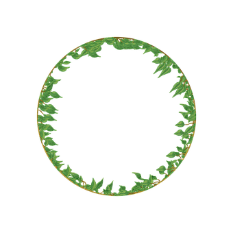 Free Vine Frame illustration and picture