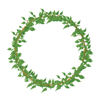 Free Vine Frame illustration and picture