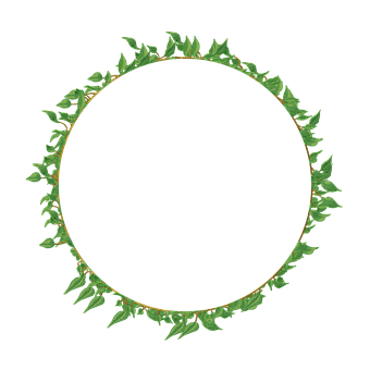 Free Vine Frame illustration and picture