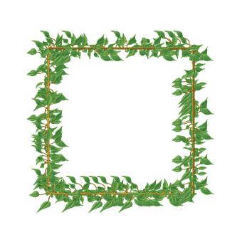 Free Vine Frame illustration and picture
