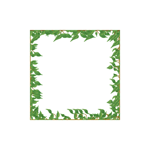 Download free HD stock image of Vine Frame Free vine frame border illustration