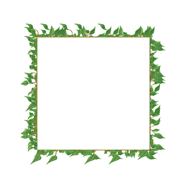 Download Vine Frame Border RoyaltyFree Stock Illustration Image Pixabay
