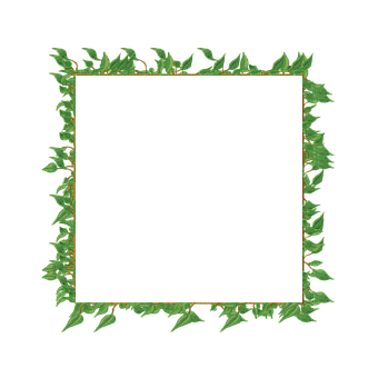 Free Vine Frame illustration and picture