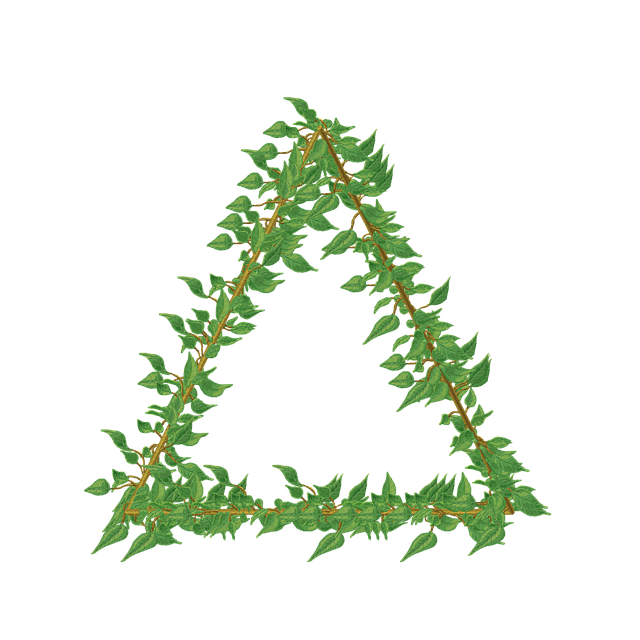Free vine frame border illustration