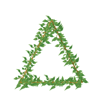 Free Vine Nature illustration and picture