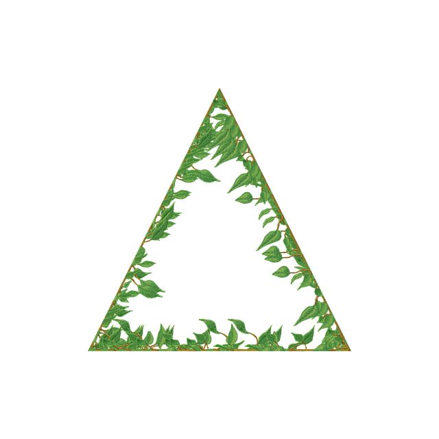 Free vine frame border illustration
