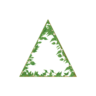 Free Vine Frame illustration and picture