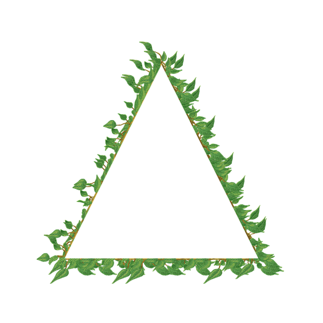 Free vine frame border illustration