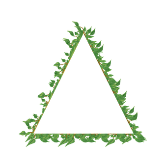Free Vine Frame illustration and picture