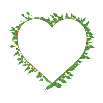 Free Vine Frame illustration and picture