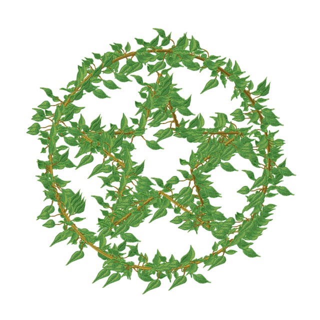 Free vine frame border illustration