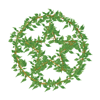 Free Vine Frame illustration and picture
