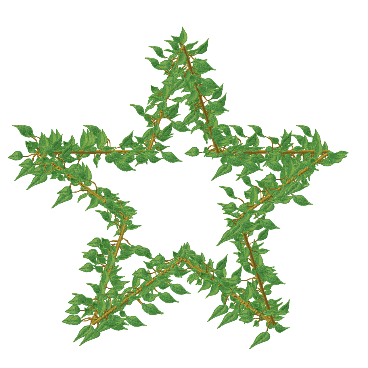 Download free HD stock image of Vine Frame Free vine frame border illustration
