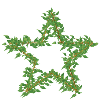 Free Vine Frame illustration and picture
