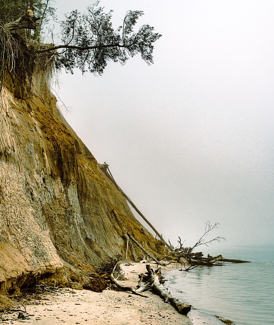 Free Cliff Bay photo and picture