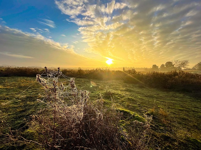 Free Nature Sky photo and picture