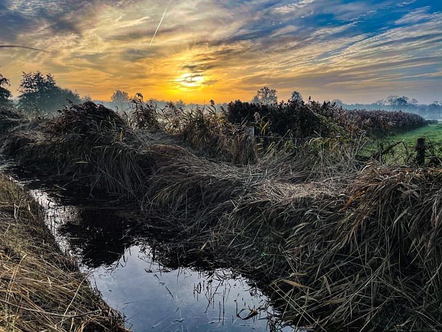 Free Sunrise Sun photo and picture