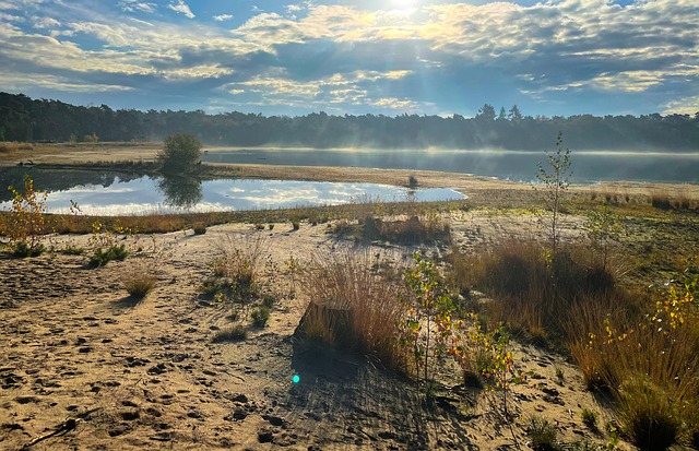Free Sunrise Sun photo and picture