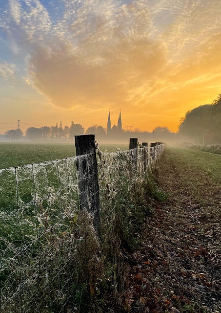Free Sunrise Fence photo and picture