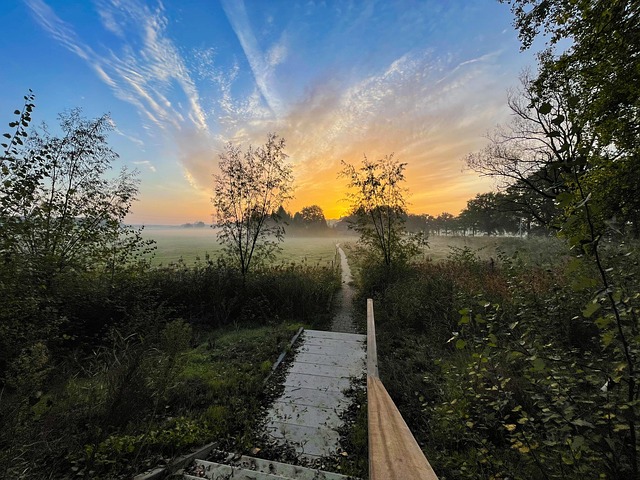 Free Sunrise Nature photo and picture