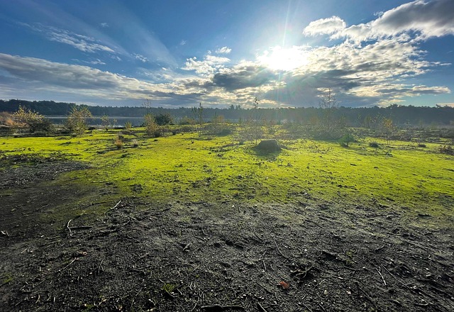 Free Sunrise Sun photo and picture