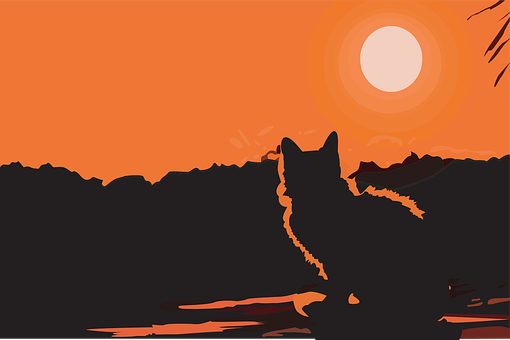 Free Sunset Nature vector and picture