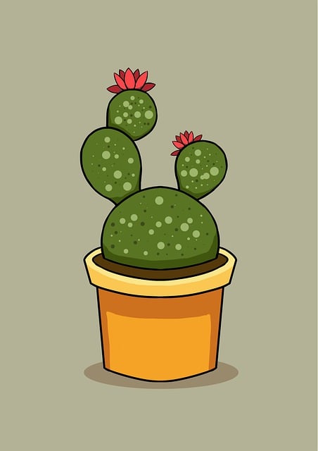 Cactus, Planta, Maceta, Planta En Maceta