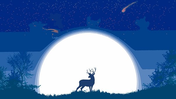Free Deer Moon illustration and picture